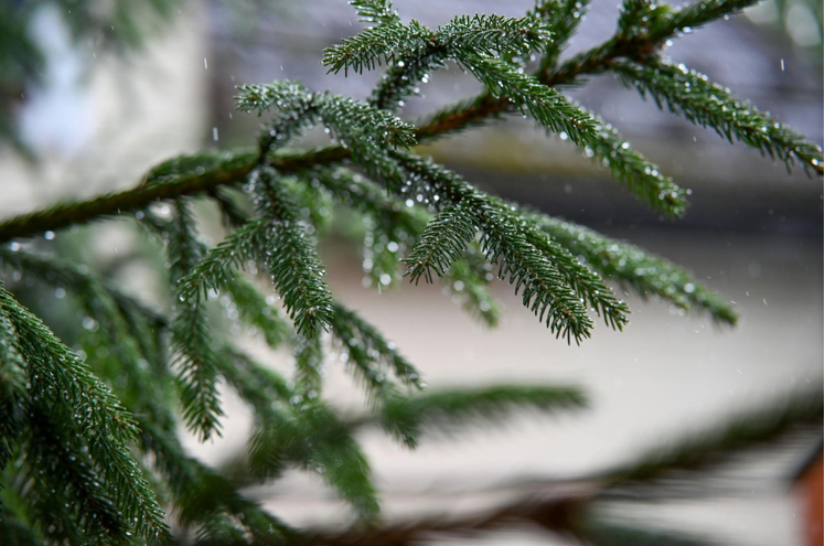 Green Artificial Christmas Trees This Holiday Season